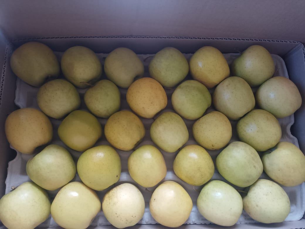 Fresh golden apples in carton