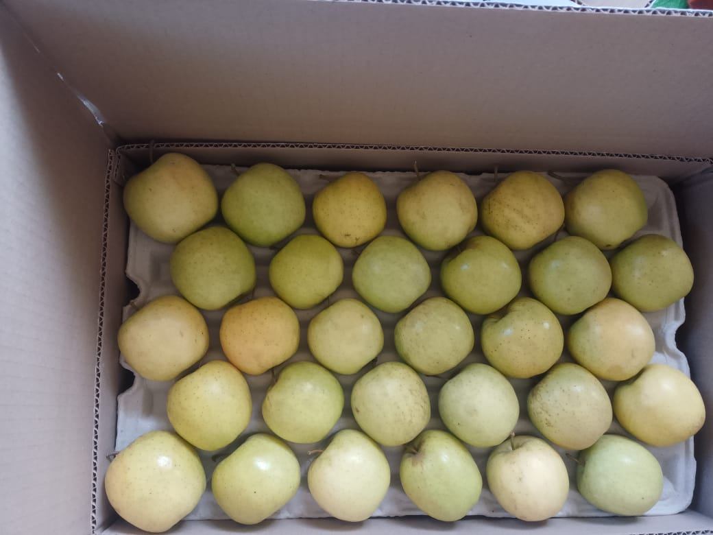 Apples arranged in a tray inside the box